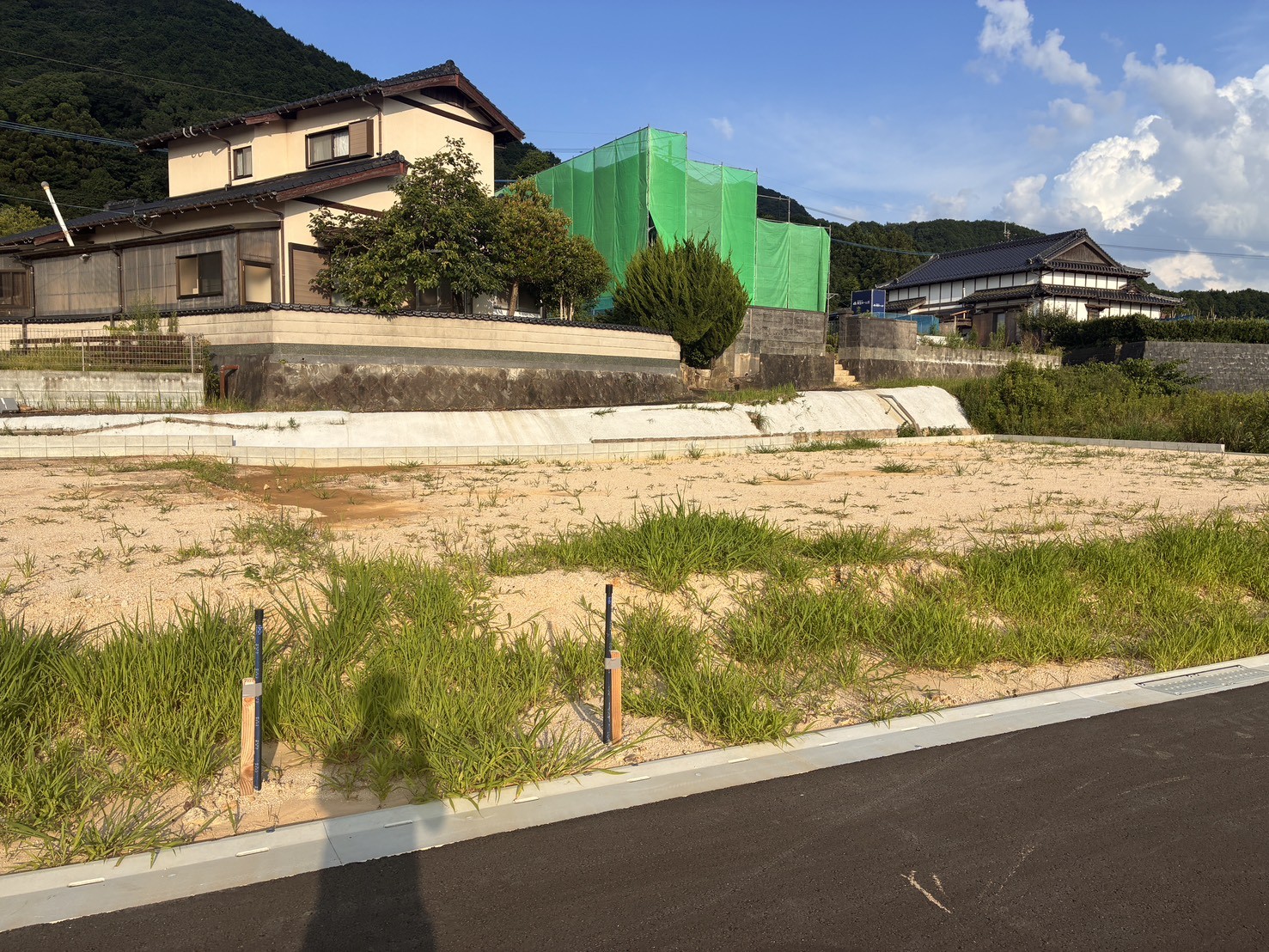 5号地　現地
