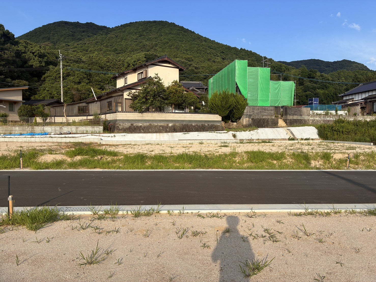 6号地　現地