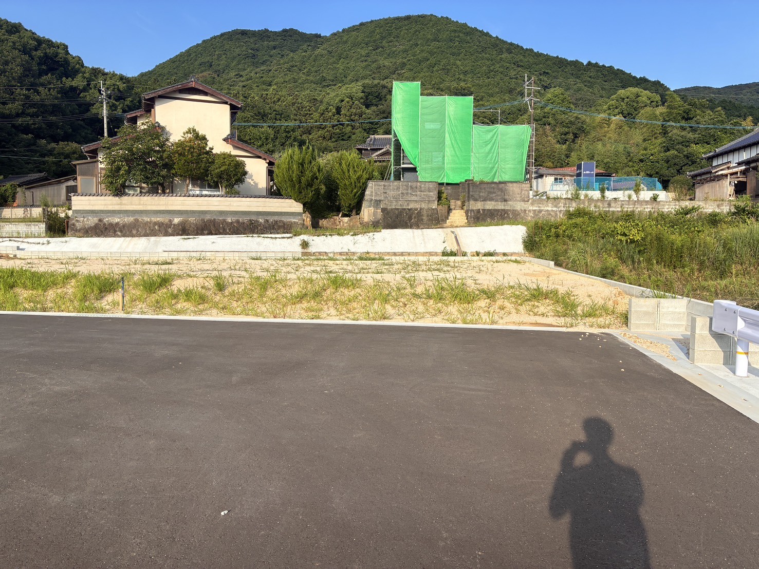 7号地　現地